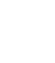 Jenkins Design & Build lion crest